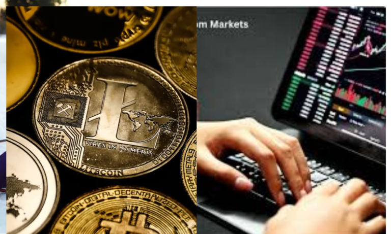 Biitland.com Digital Assets